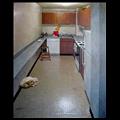 The Kitchen  